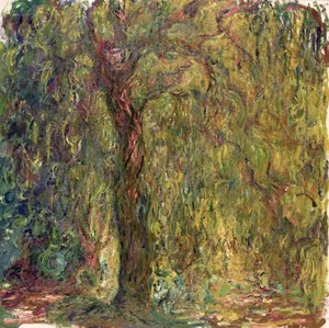 Saule pleureur, 1918-19 - Claude Monet